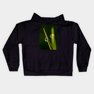 Water Bead on a Blade of Grass Kids Hoodie